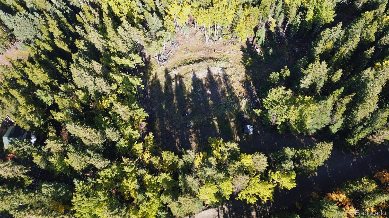 429 Sawmill Lane Idaho Springs CO 80452