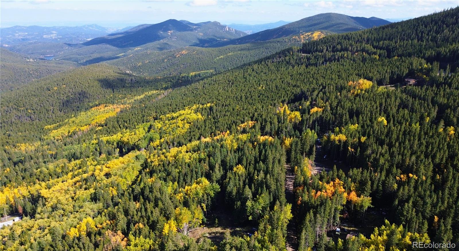 429 Sawmill Lane Idaho Springs CO 80452