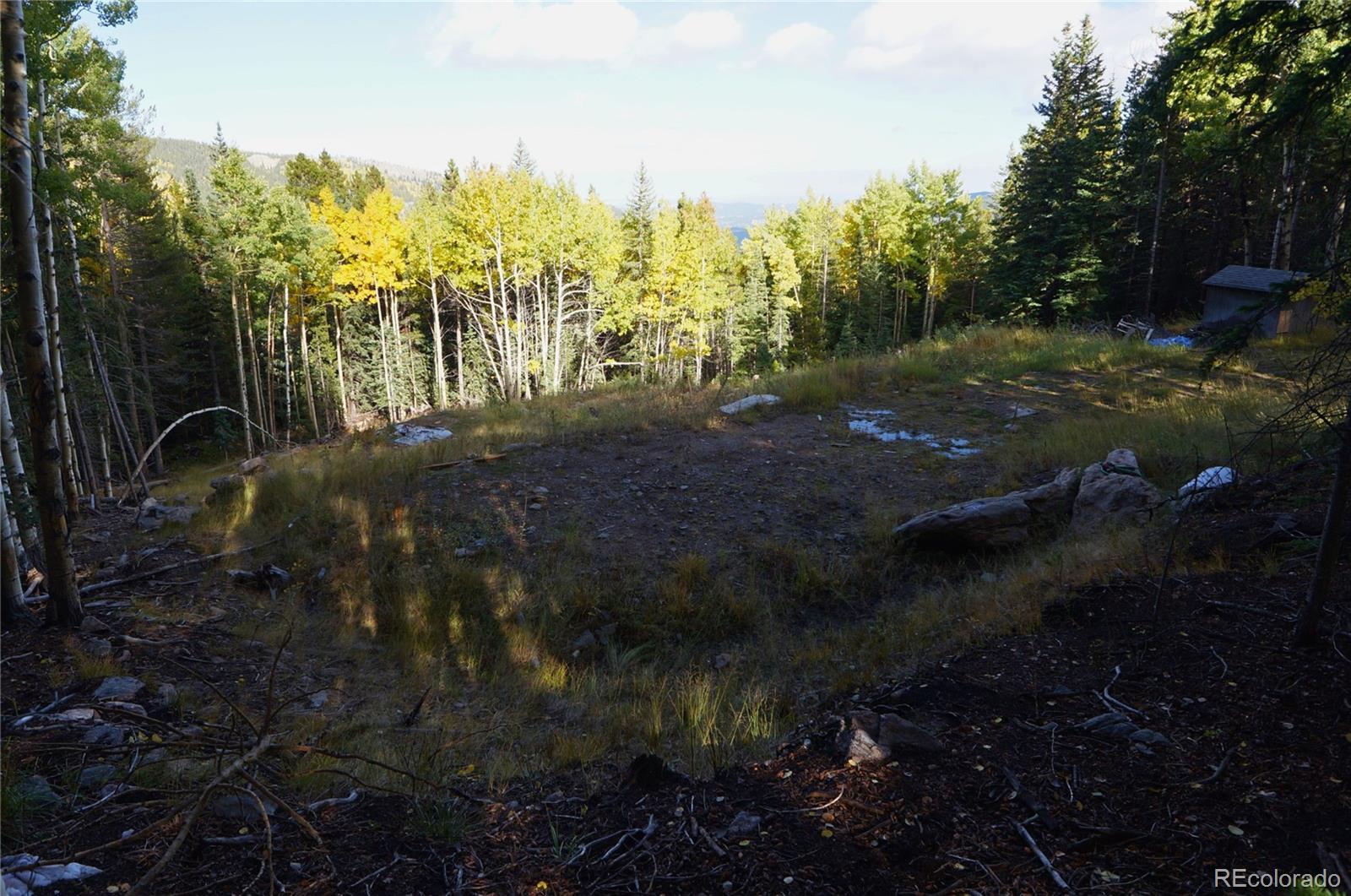 429 Sawmill Lane Idaho Springs CO 80452