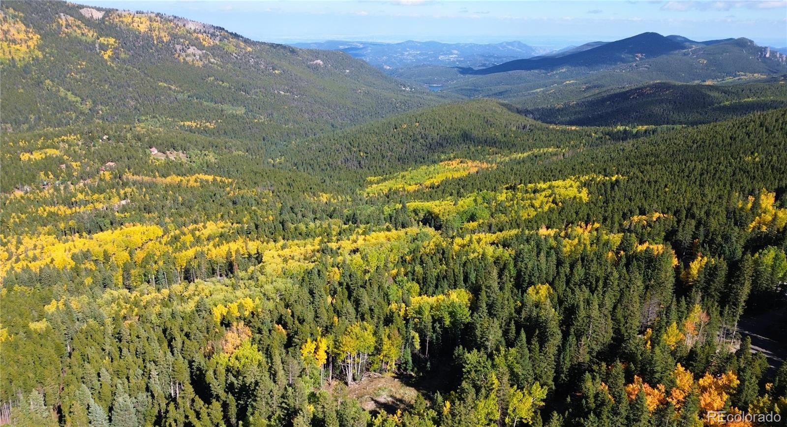 429 Sawmill Lane Idaho Springs CO 80452