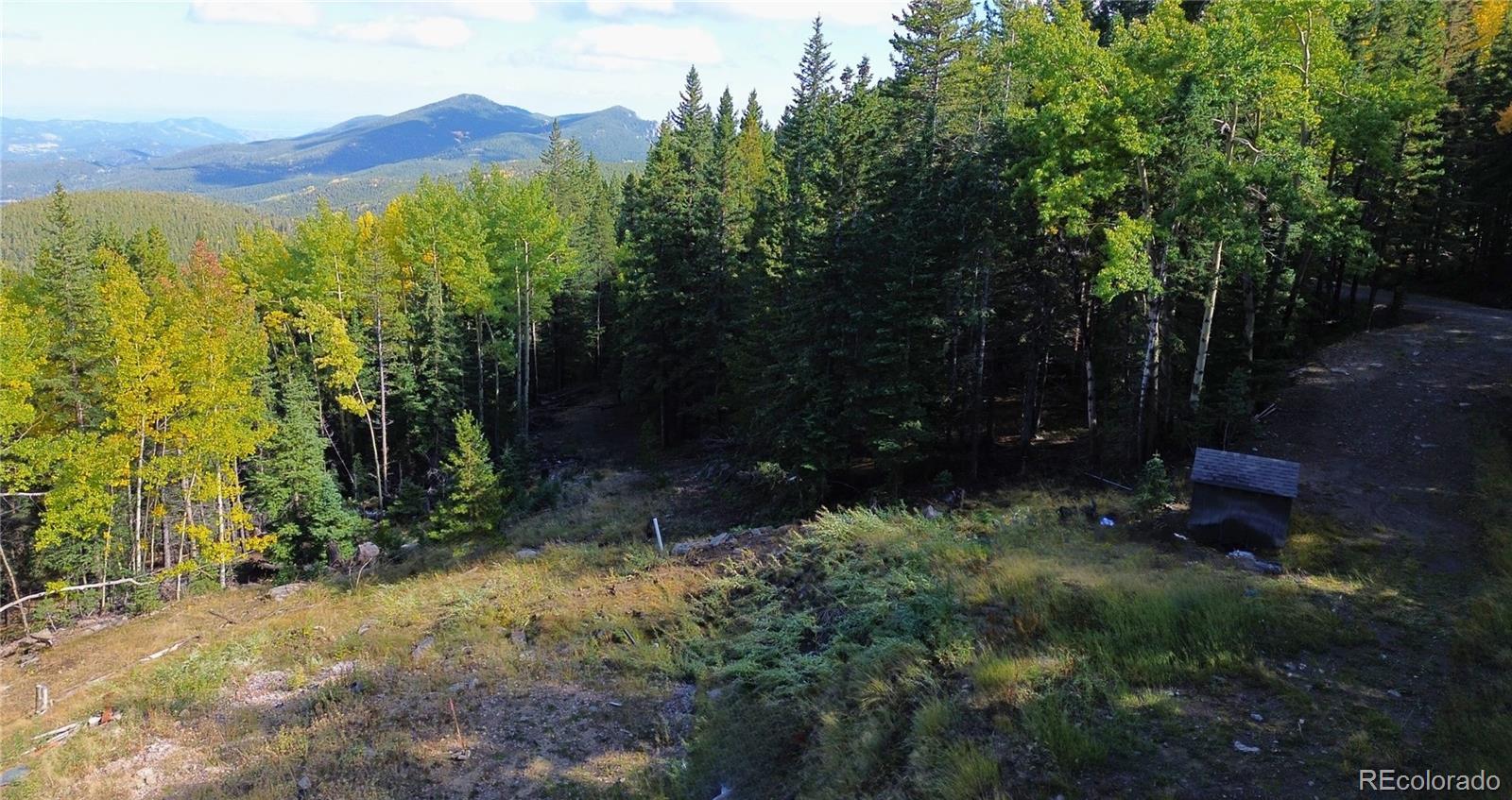 429 Sawmill Lane Idaho Springs CO 80452