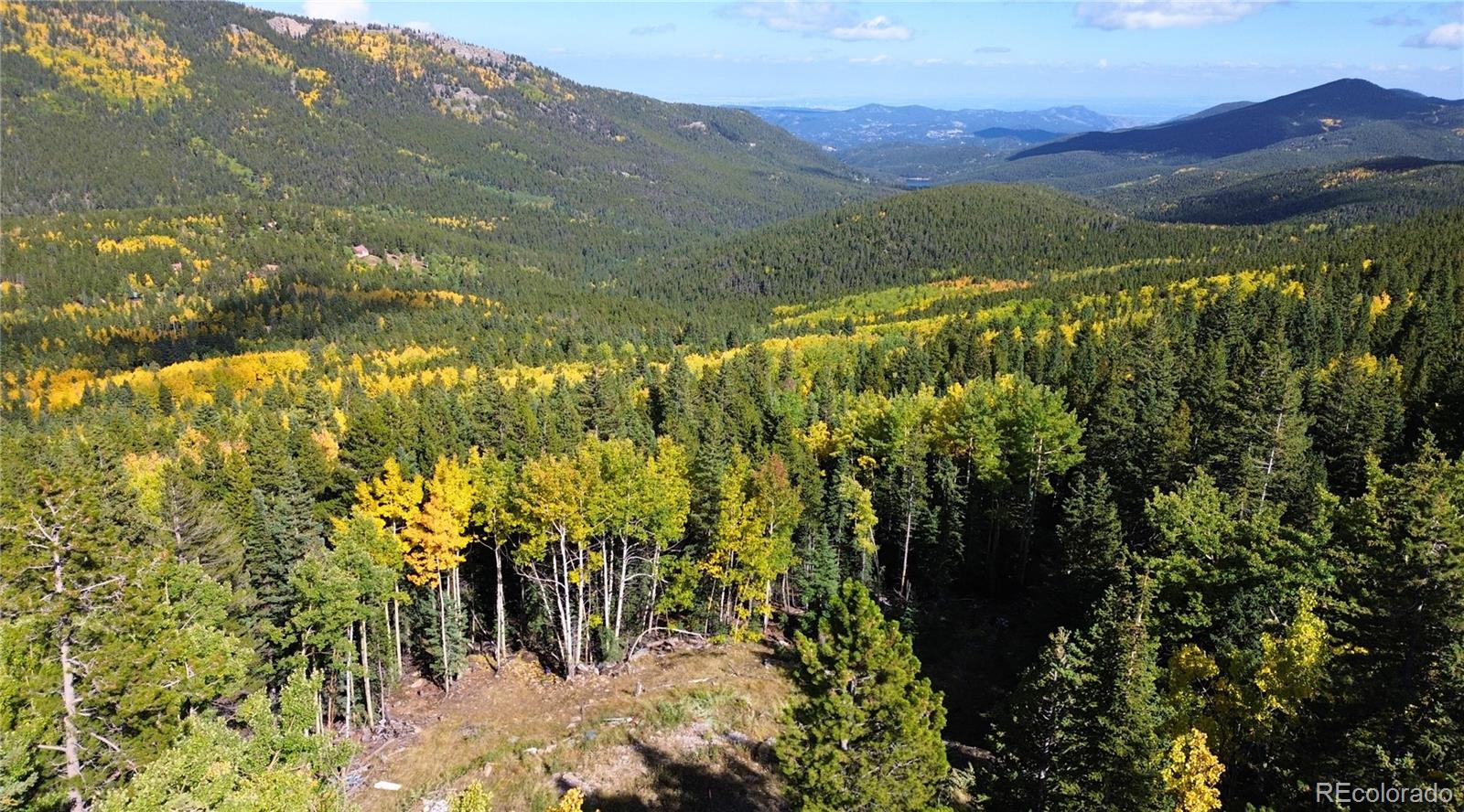 429 Sawmill Lane Idaho Springs CO 80452