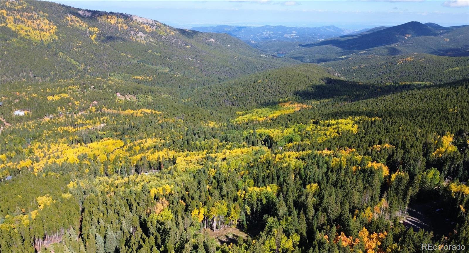 429 Sawmill Lane Idaho Springs CO 80452