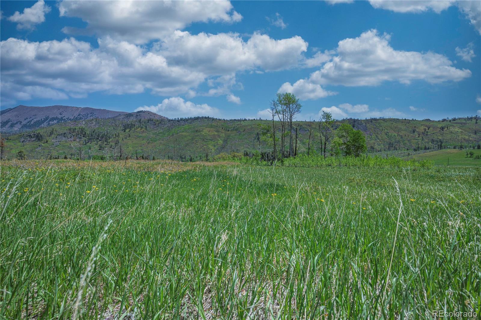 Paradise Acres, Lot 4 - Blk 3 La Veta CO 81055