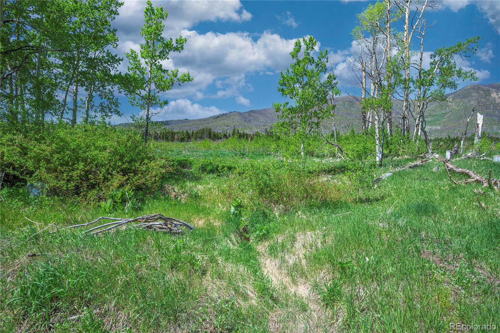 Paradise Acres, Lot 4 - Blk 3 La Veta CO 81055