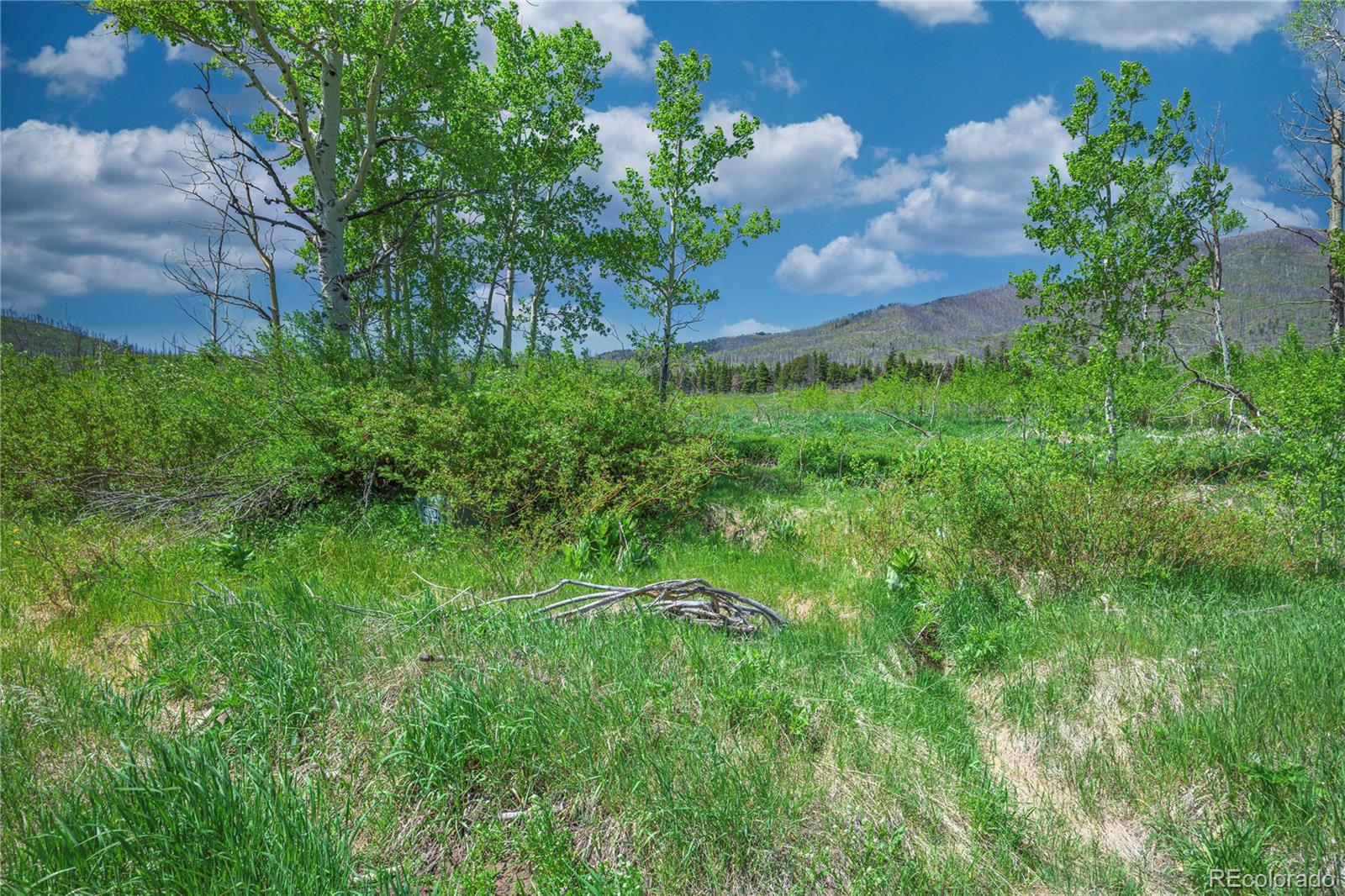 Paradise Acres, Lot 4 - Blk 3 La Veta CO 81055