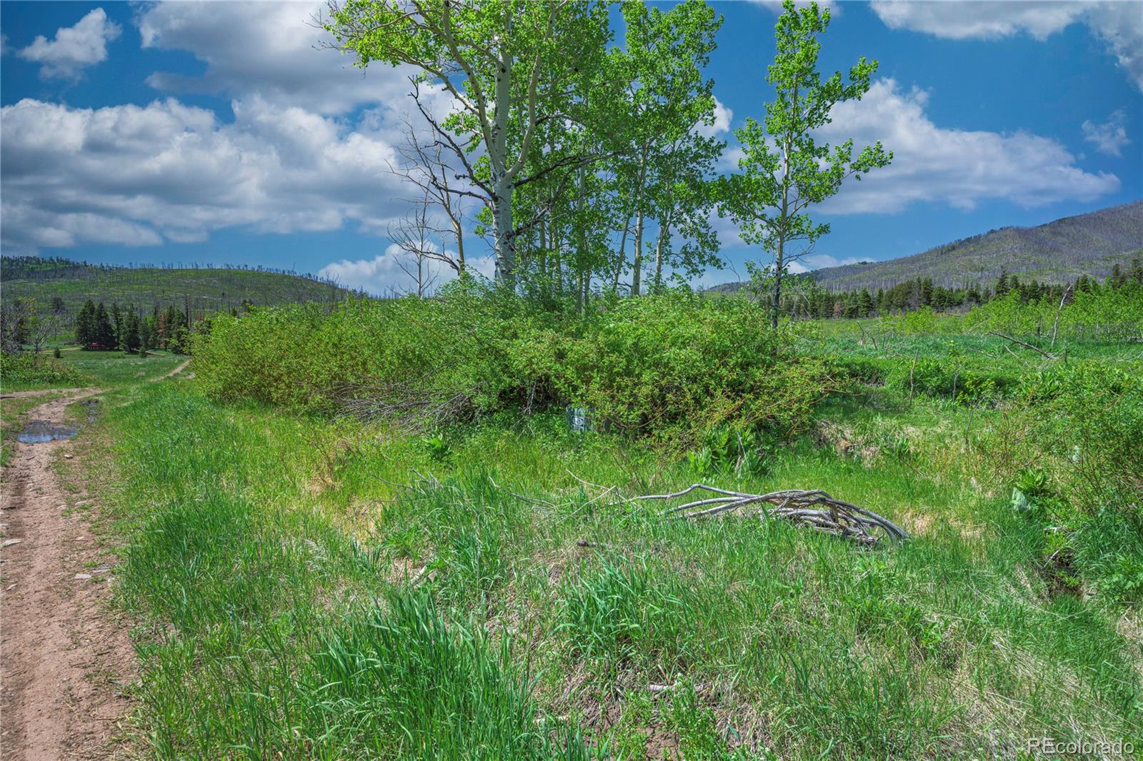 Paradise Acres, Lot 4 - Blk 3 La Veta CO 81055