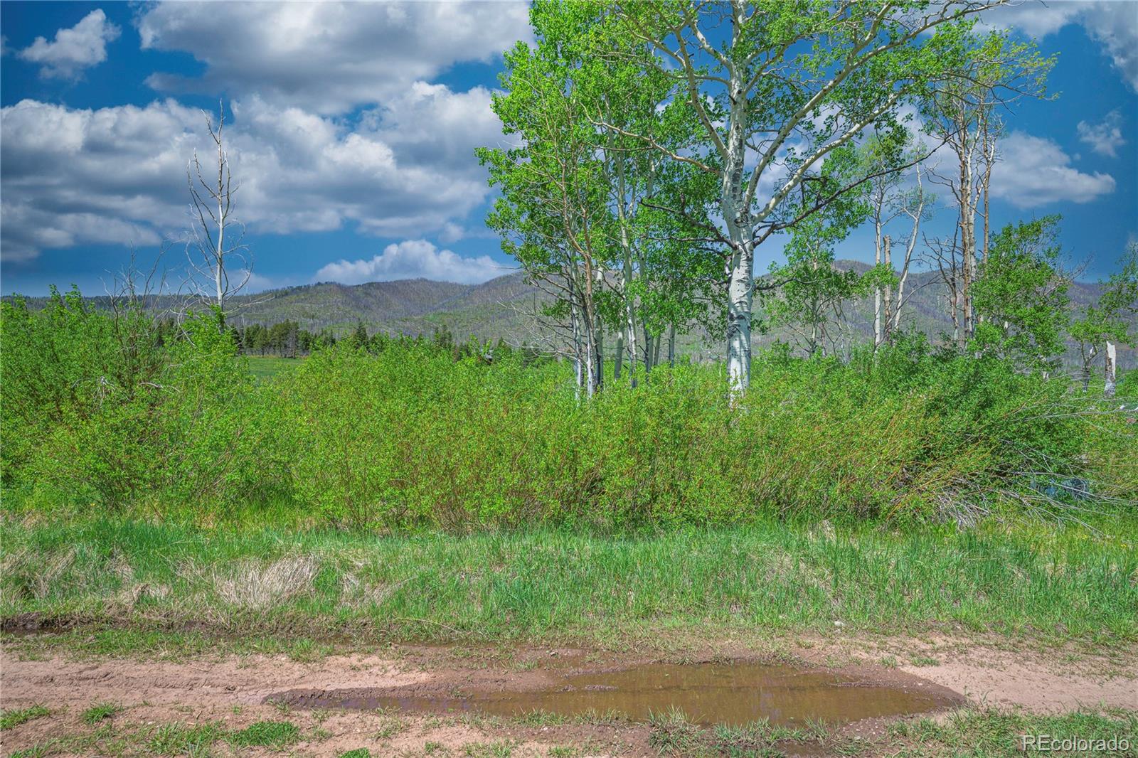 Paradise Acres, Lot 4 - Blk 3 La Veta CO 81055
