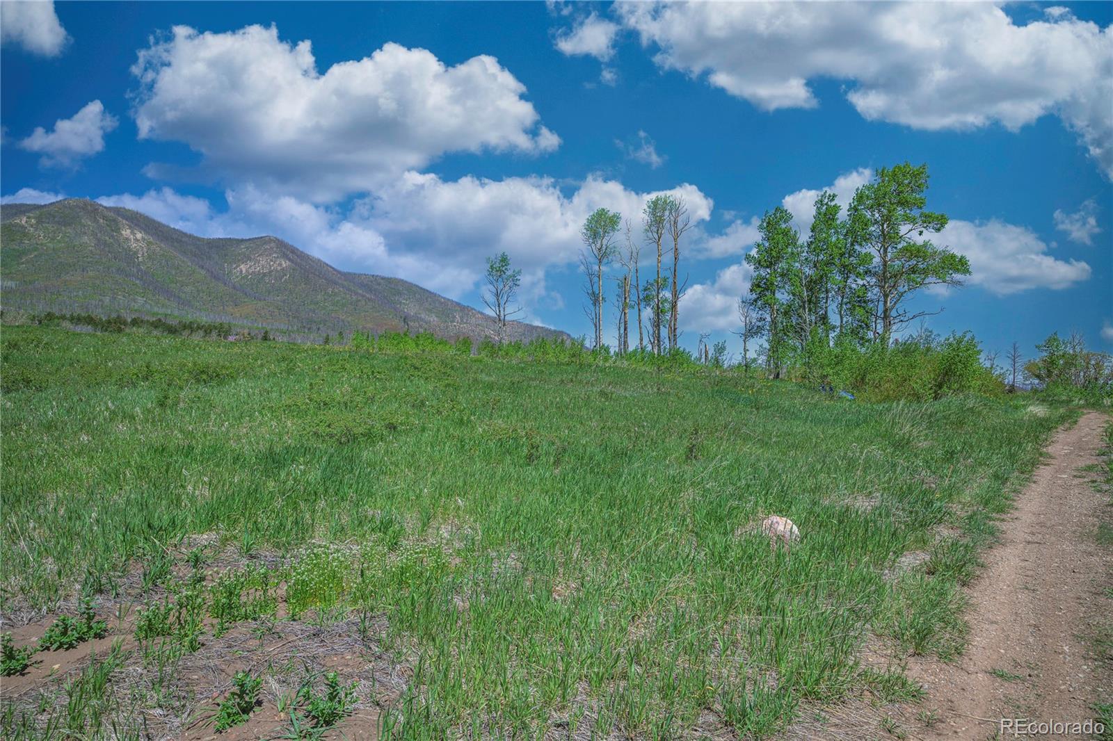 Paradise Acres, Lot 4 - Blk 3 La Veta CO 81055