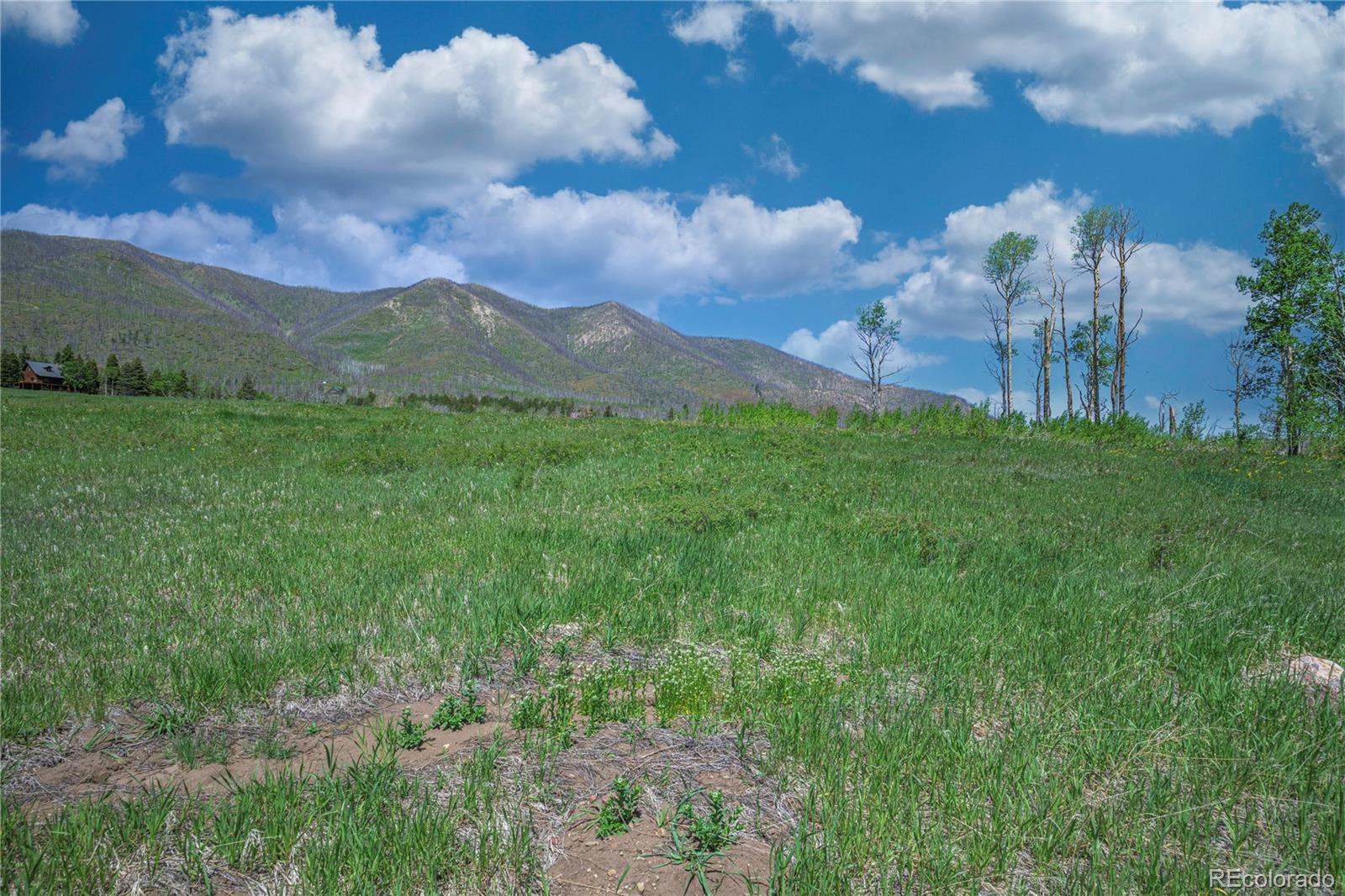 Paradise Acres, Lot 4 - Blk 3 La Veta CO 81055