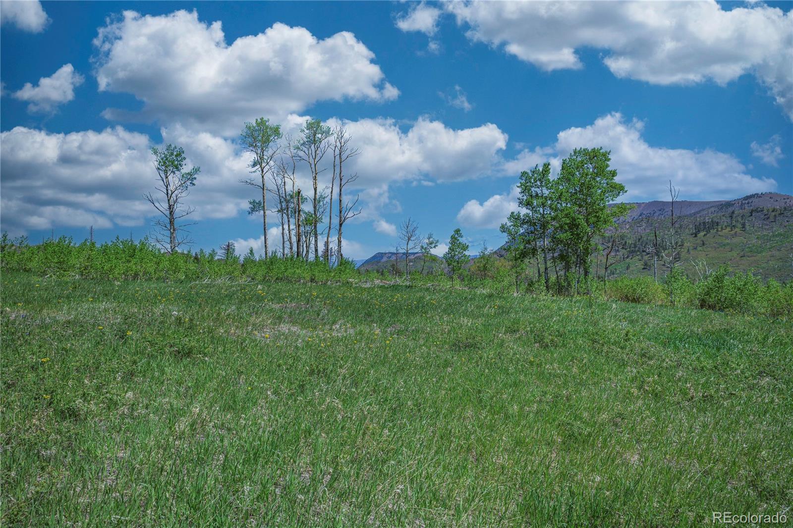 Paradise Acres, Lot 4 - Blk 3 La Veta CO 81055