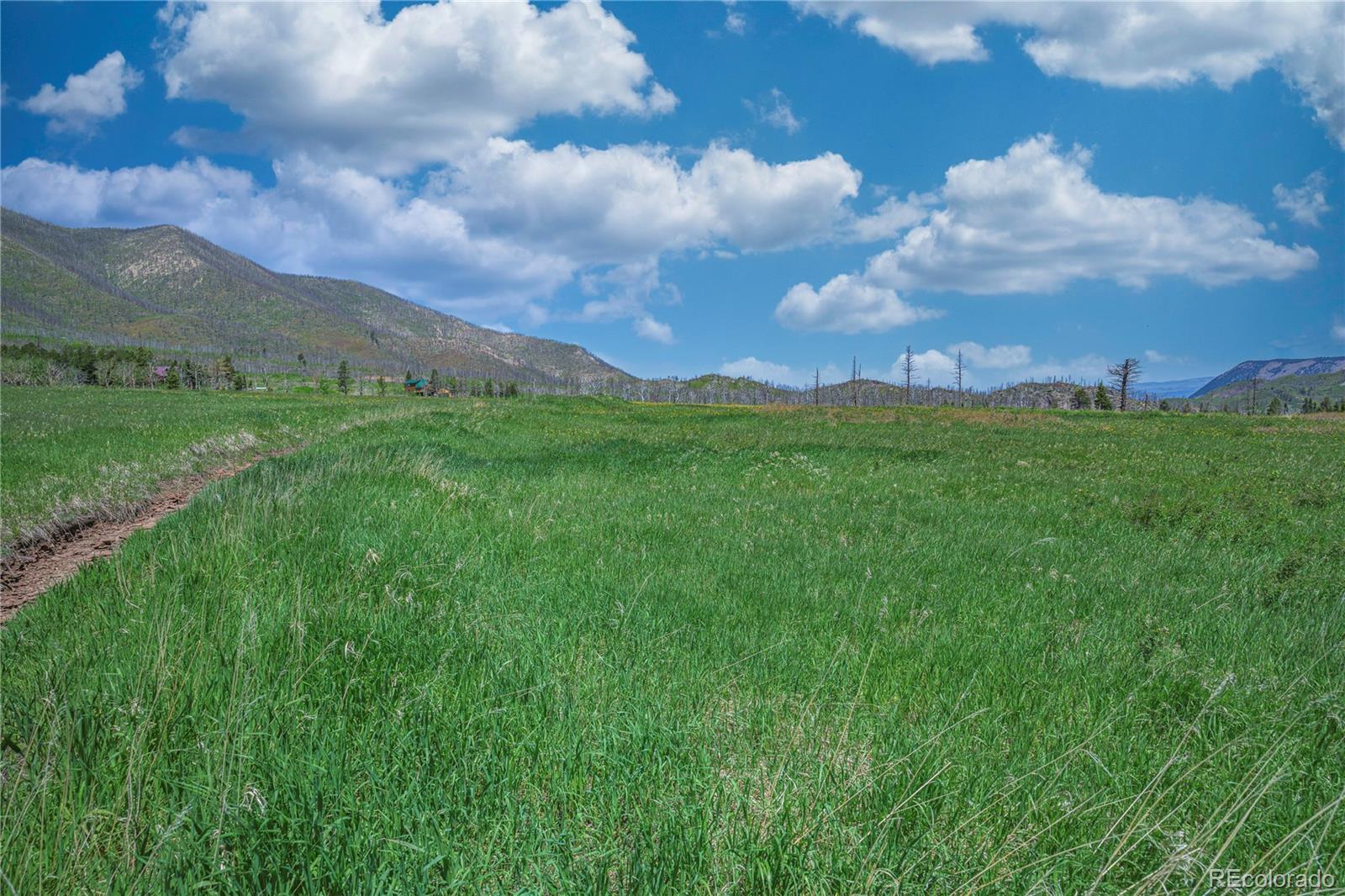 Paradise Acres, Lot 4 - Blk 3 La Veta CO 81055