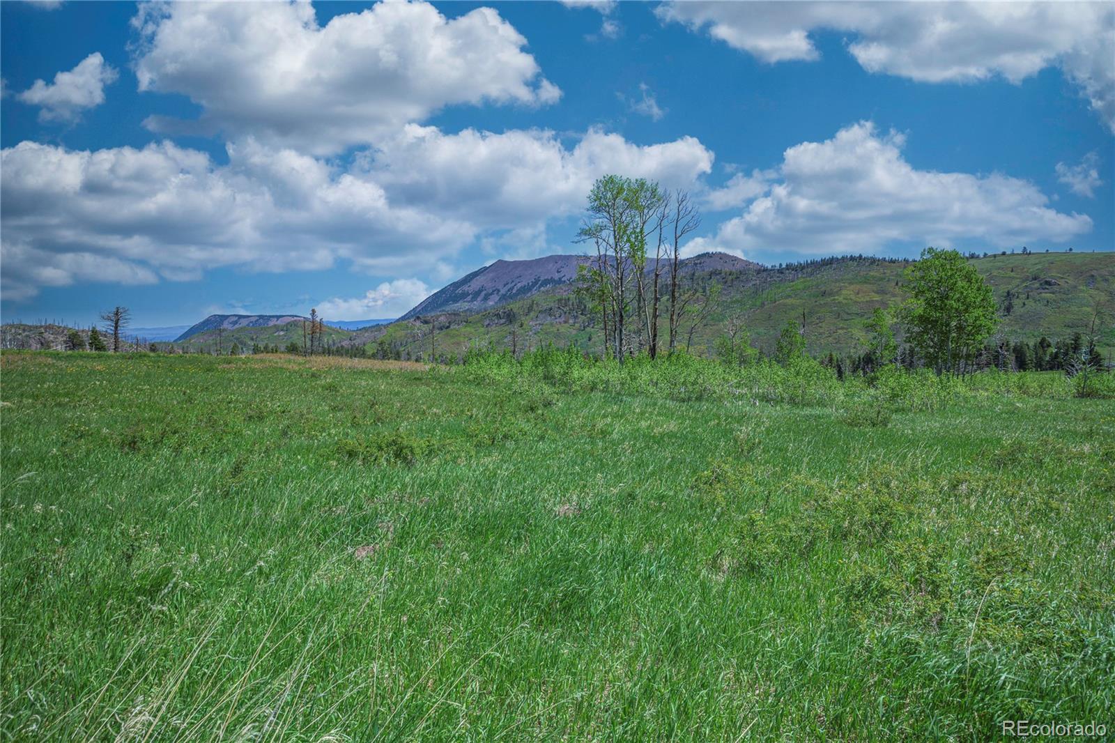 Paradise Acres, Lot 4 - Blk 3 La Veta CO 81055