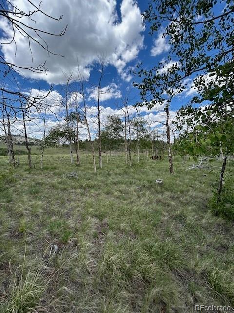 807 Bolster Drive Hartsel CO 80449