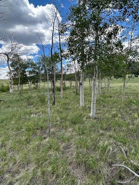 807 Bolster Drive Hartsel CO 80449