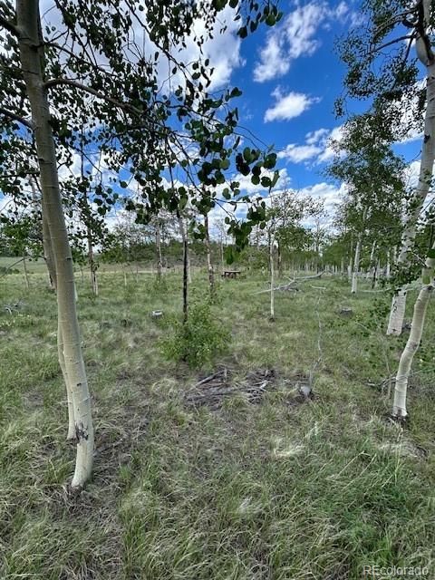 807 Bolster Drive Hartsel CO 80449