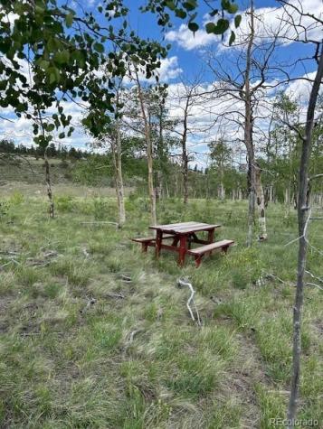 807 Bolster Drive Hartsel CO 80449