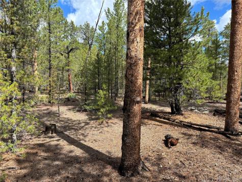 399 Fir Drive Twin Lakes CO 80461