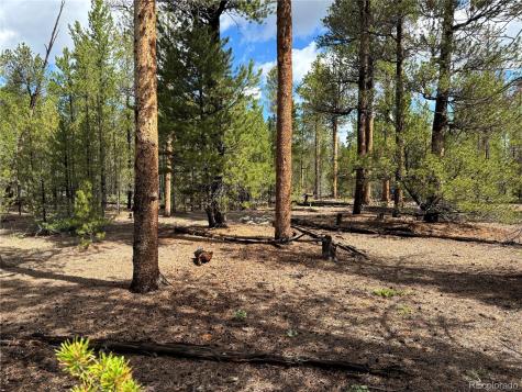 399 Fir Drive Twin Lakes CO 80461