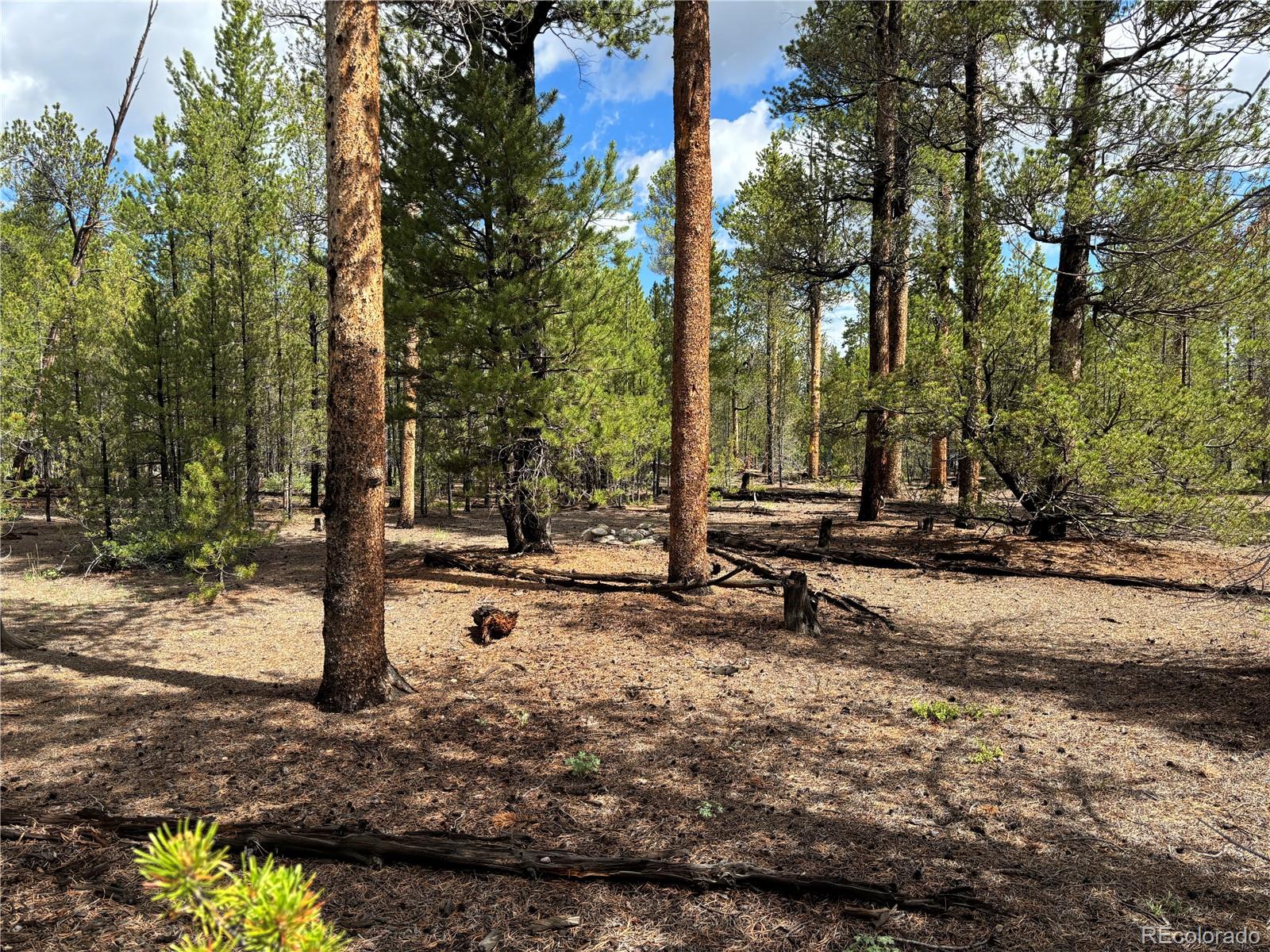 399 Fir Drive Twin Lakes CO 80461