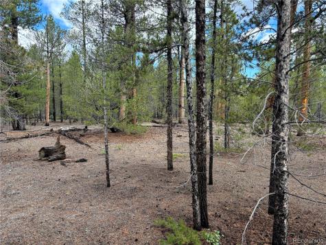 399 Fir Drive Twin Lakes CO 80461
