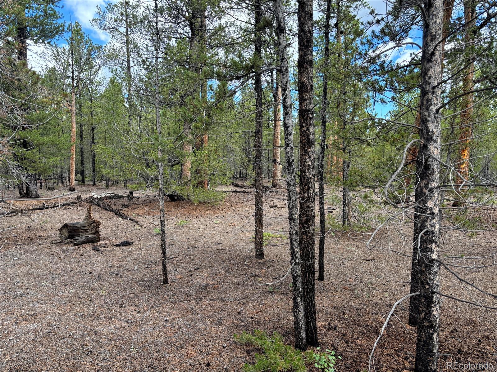 399 Fir Drive Twin Lakes CO 80461