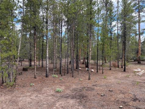 399 Fir Drive Twin Lakes CO 80461