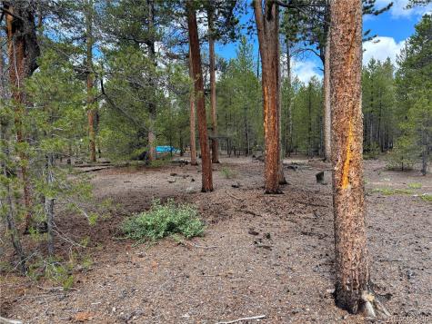 399 Fir Drive Twin Lakes CO 80461