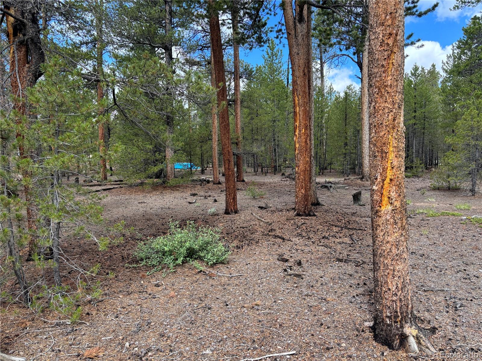 399 Fir Drive Twin Lakes CO 80461