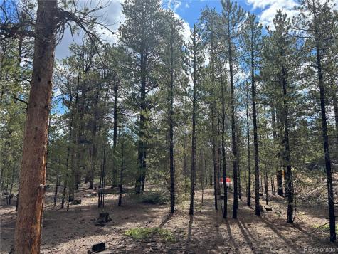 399 Fir Drive Twin Lakes CO 80461