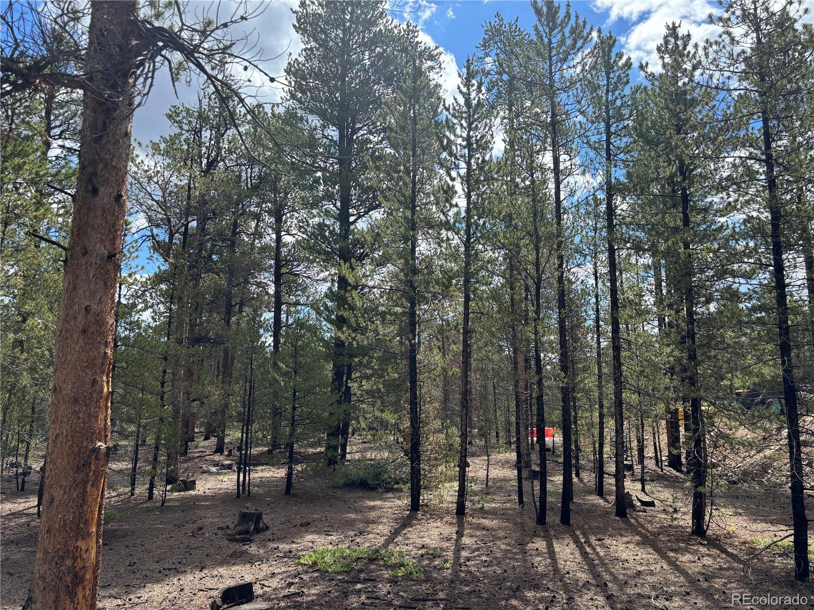 399 Fir Drive Twin Lakes CO 80461