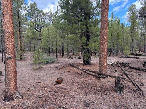 399 Fir Drive Twin Lakes CO 80461