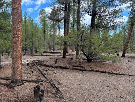 399 Fir Drive Twin Lakes CO 80461