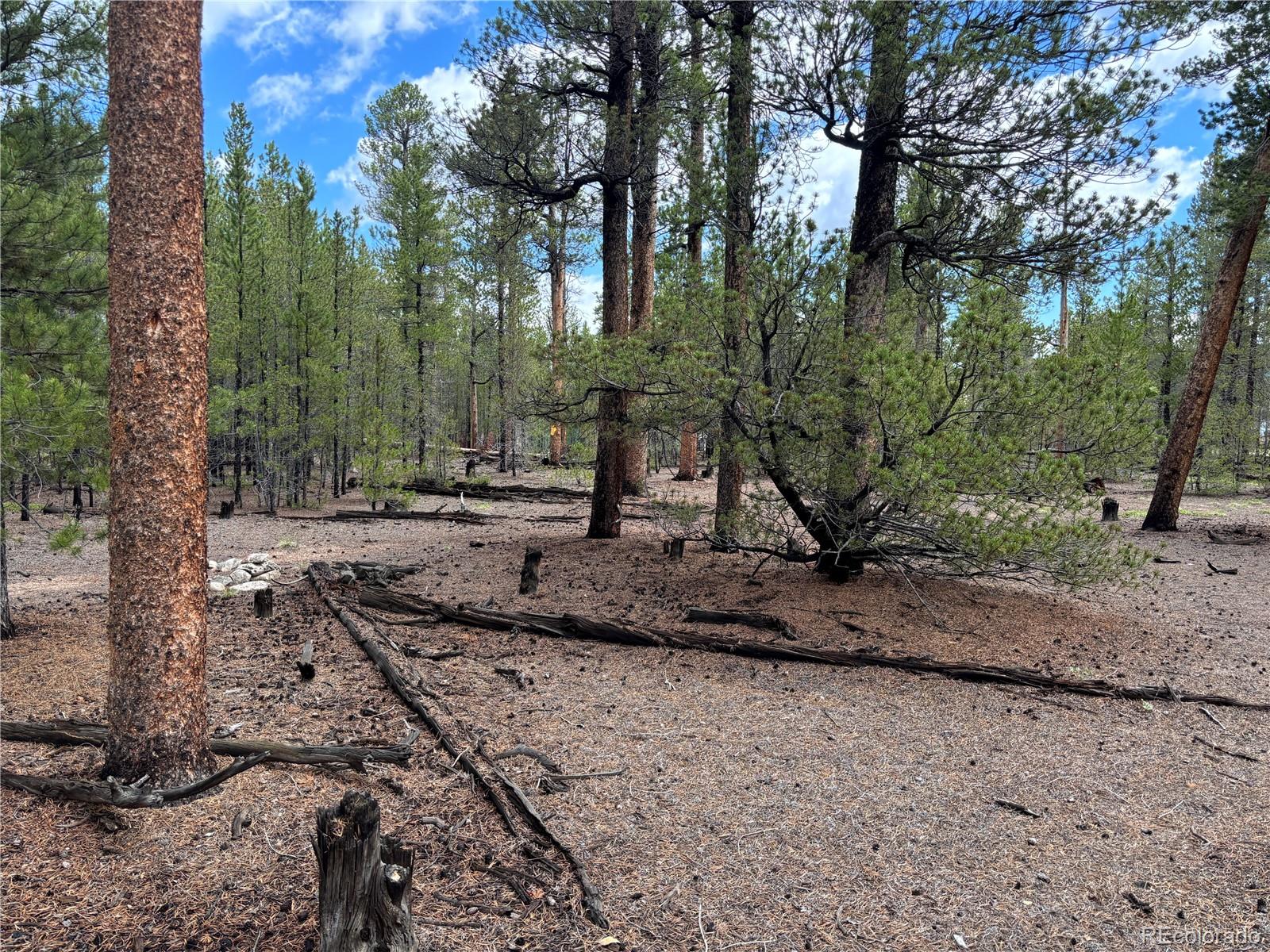 399 Fir Drive Twin Lakes CO 80461