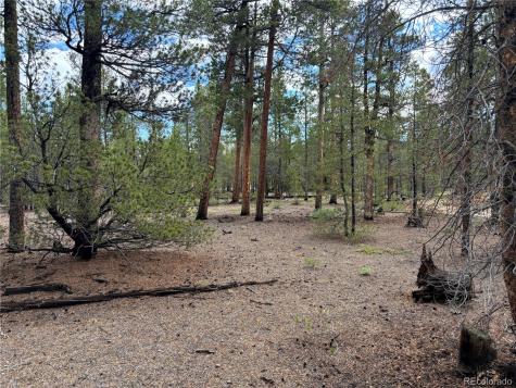 399 Fir Drive Twin Lakes CO 80461