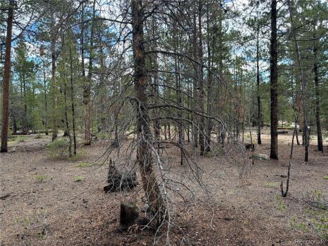 399 Fir Drive Twin Lakes CO 80461