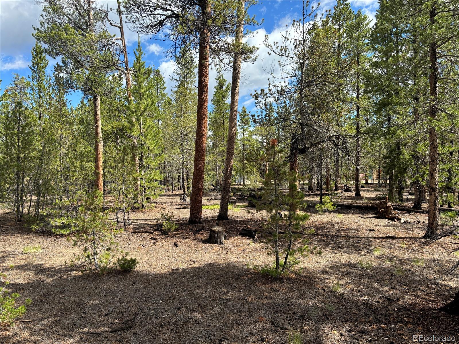 399 Fir Drive Twin Lakes CO 80461