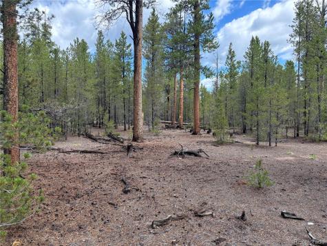 399 Fir Drive Twin Lakes CO 80461