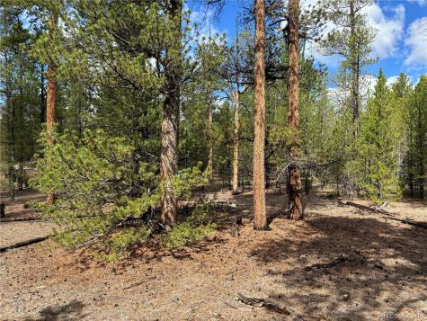 399 Fir Drive Twin Lakes CO 80461
