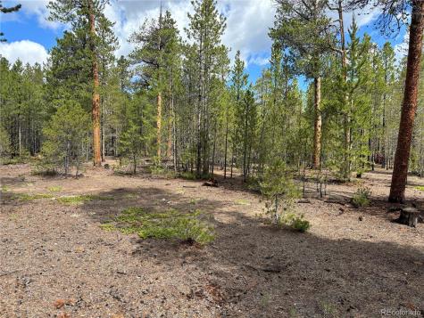 399 Fir Drive Twin Lakes CO 80461