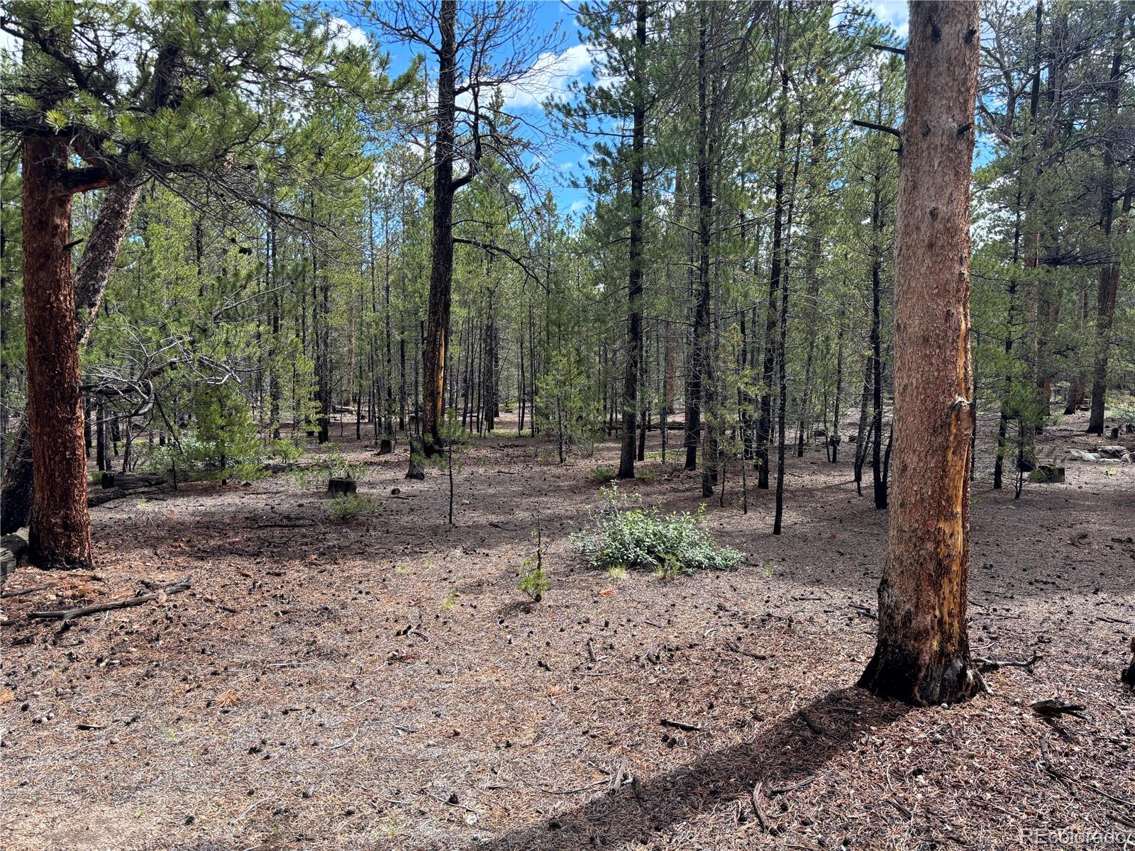 399 Fir Drive Twin Lakes CO 80461