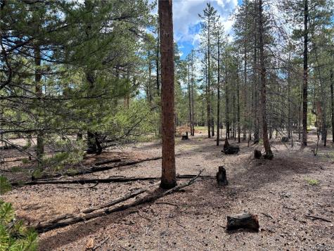 399 Fir Drive Twin Lakes CO 80461