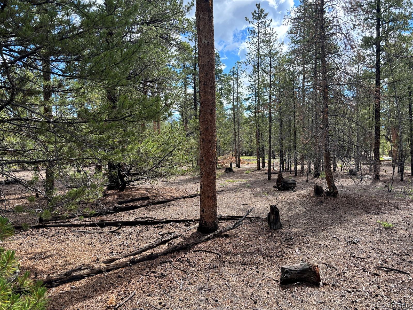 399 Fir Drive Twin Lakes CO 80461
