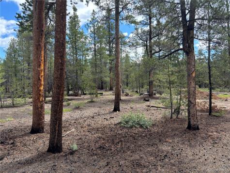 399 Fir Drive Twin Lakes CO 80461