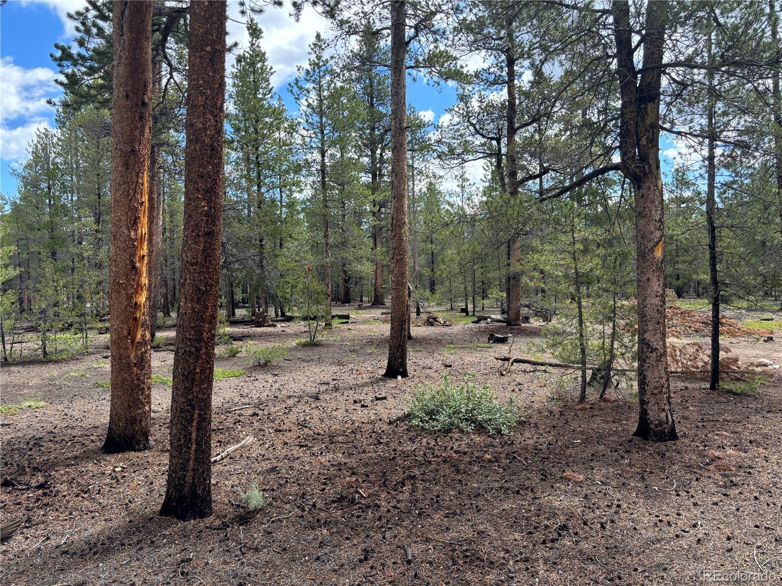 399 Fir Drive Twin Lakes CO 80461