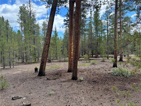 399 Fir Drive Twin Lakes CO 80461