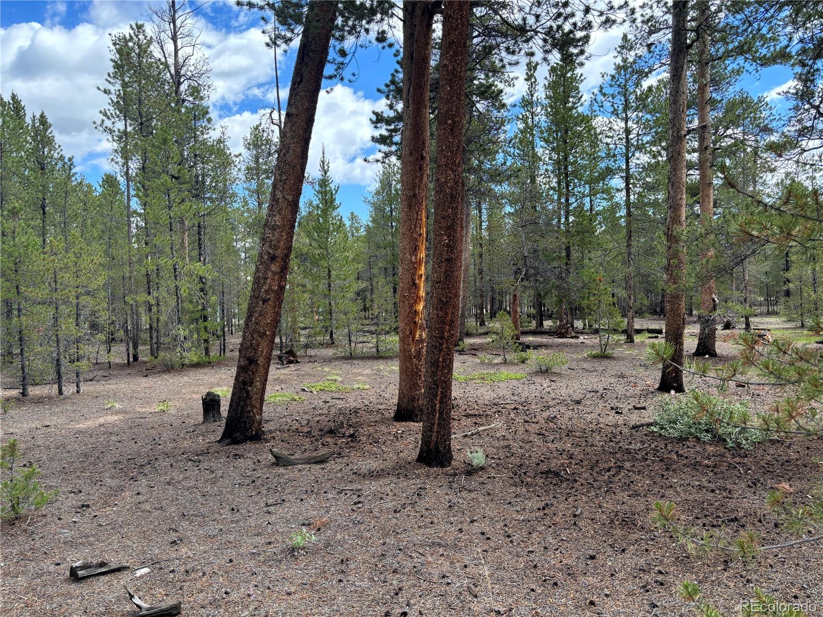 399 Fir Drive Twin Lakes CO 80461