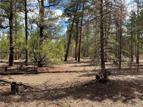 399 Fir Drive Twin Lakes CO 80461