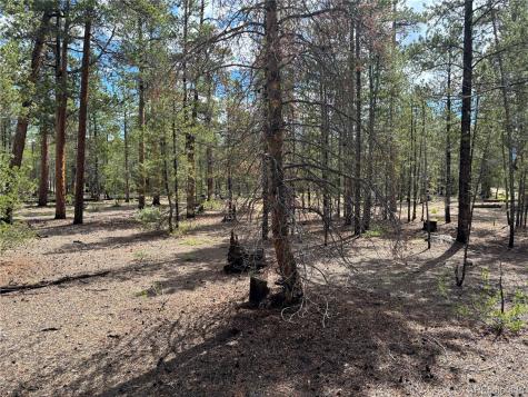399 Fir Drive Twin Lakes CO 80461