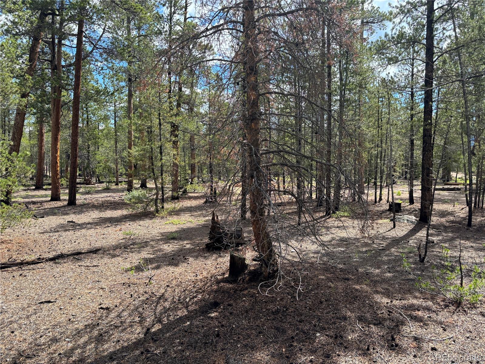 399 Fir Drive Twin Lakes CO 80461
